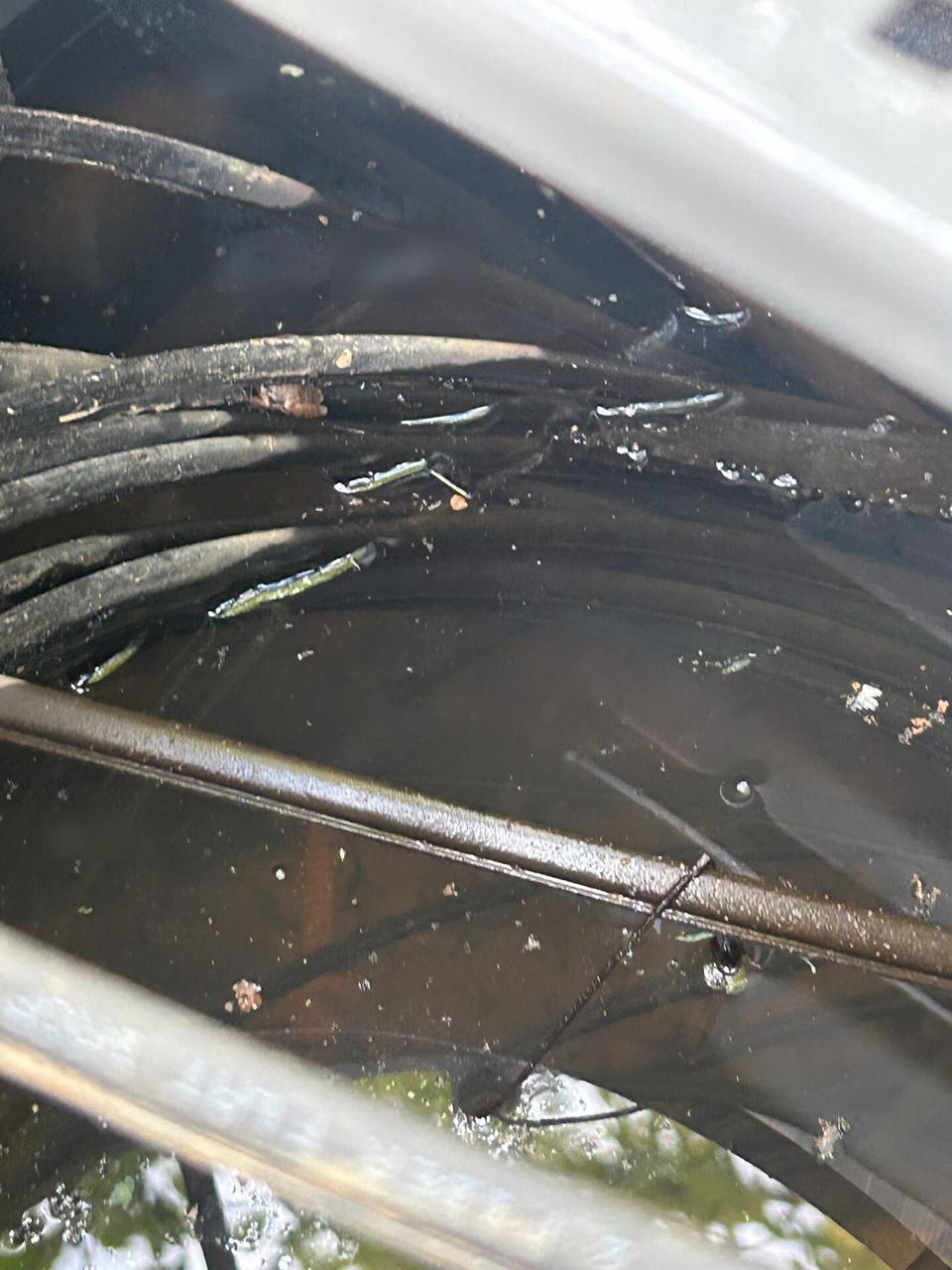 Smart technology service detail: fiber optic cable and service handoff work during optical service verification