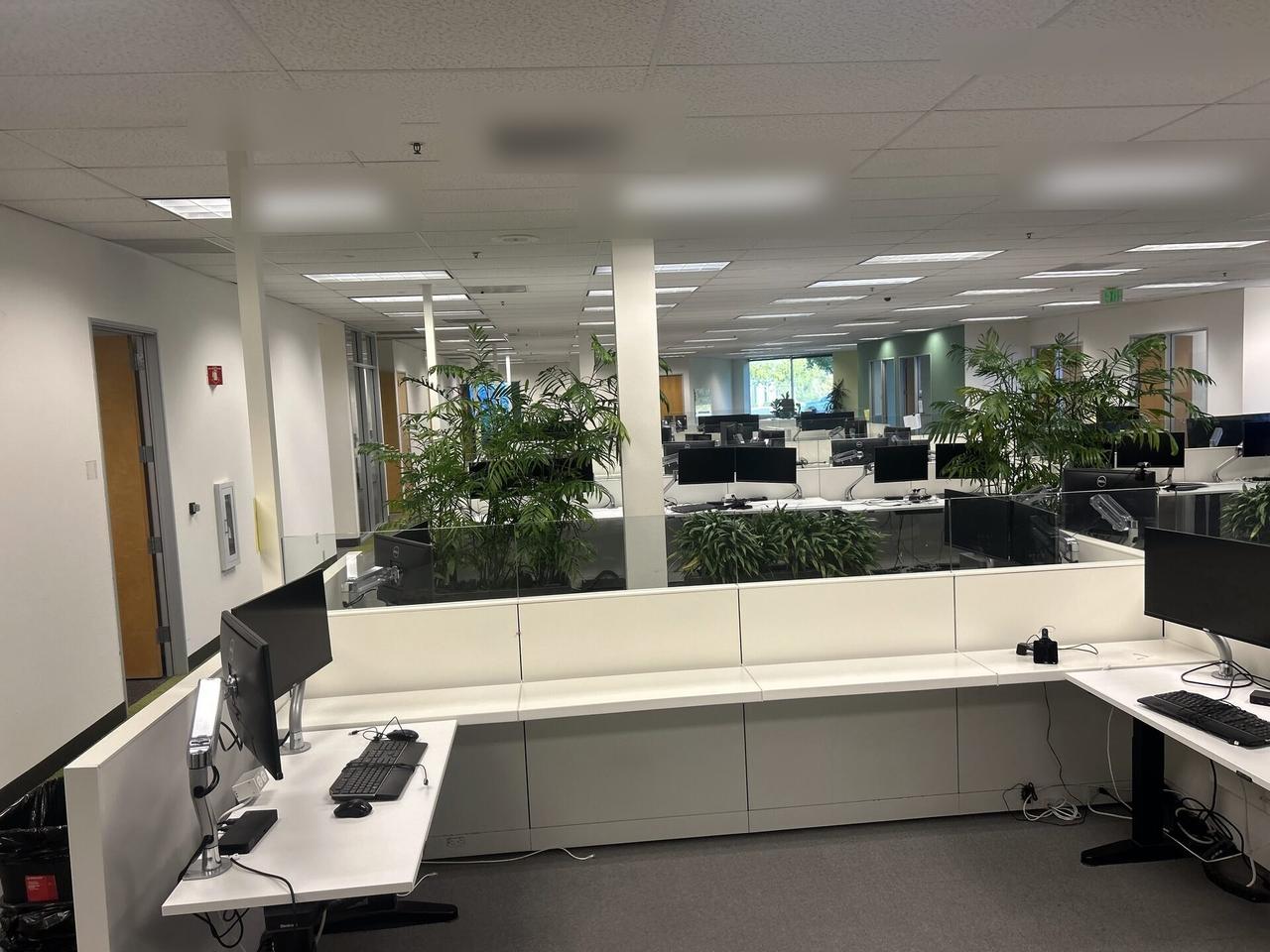 Alrty field photo with office workstation setup with monitors with monitor cabling visible