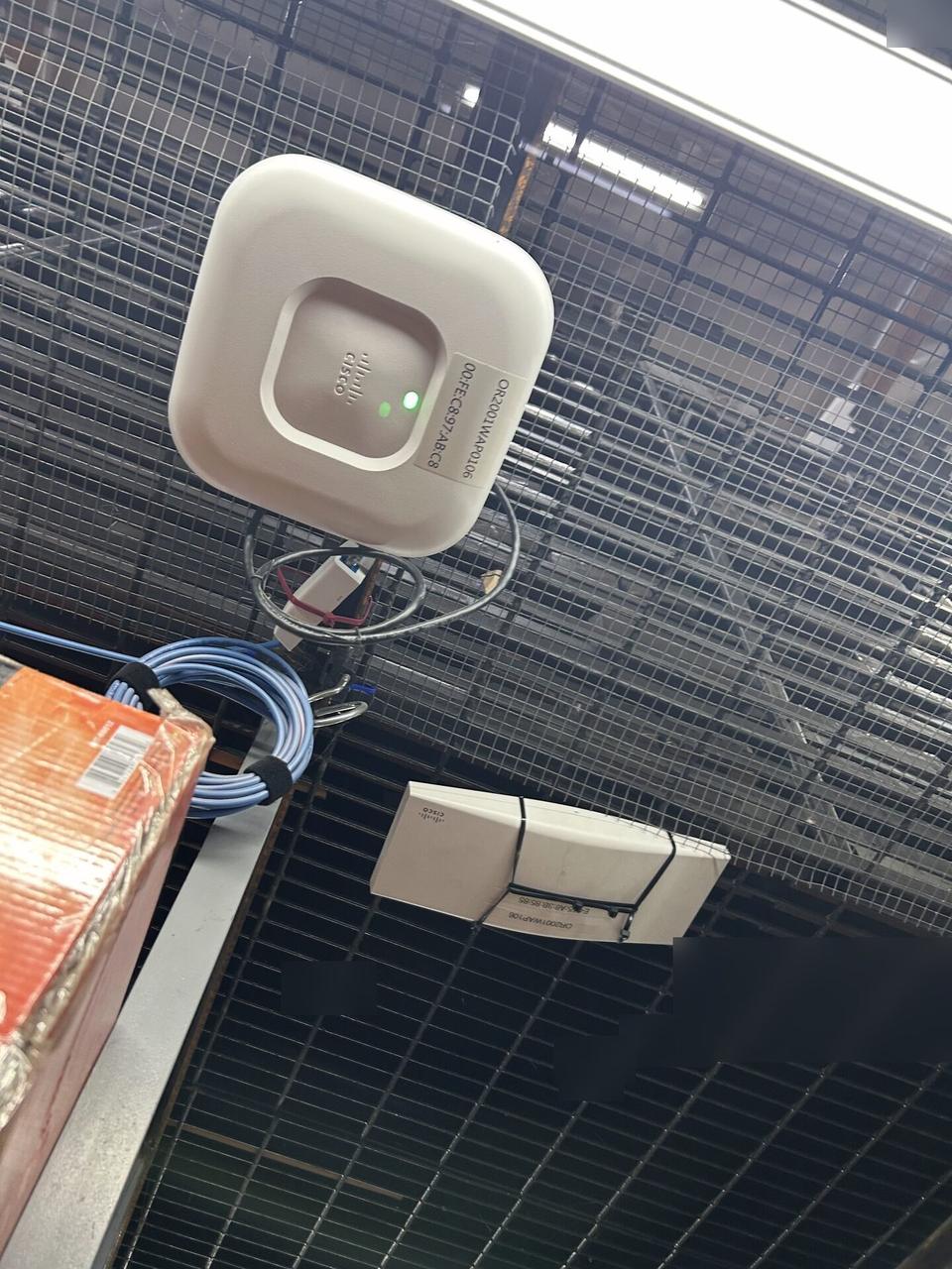 Public-safe portfolio image of enterprise retail wireless access point refresh with cable routing visible